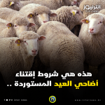 أضاحي العيد المستوردة